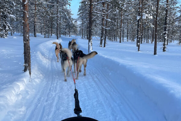 Travel Designer Jaimie Kleijne Lapland