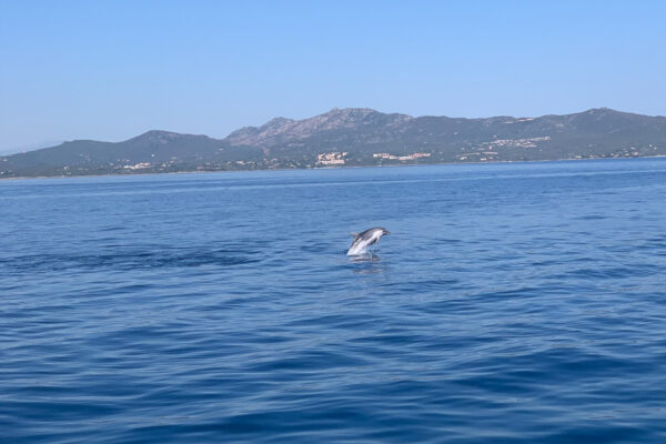 Travel Designer Huwelijksreis Sardinië-1